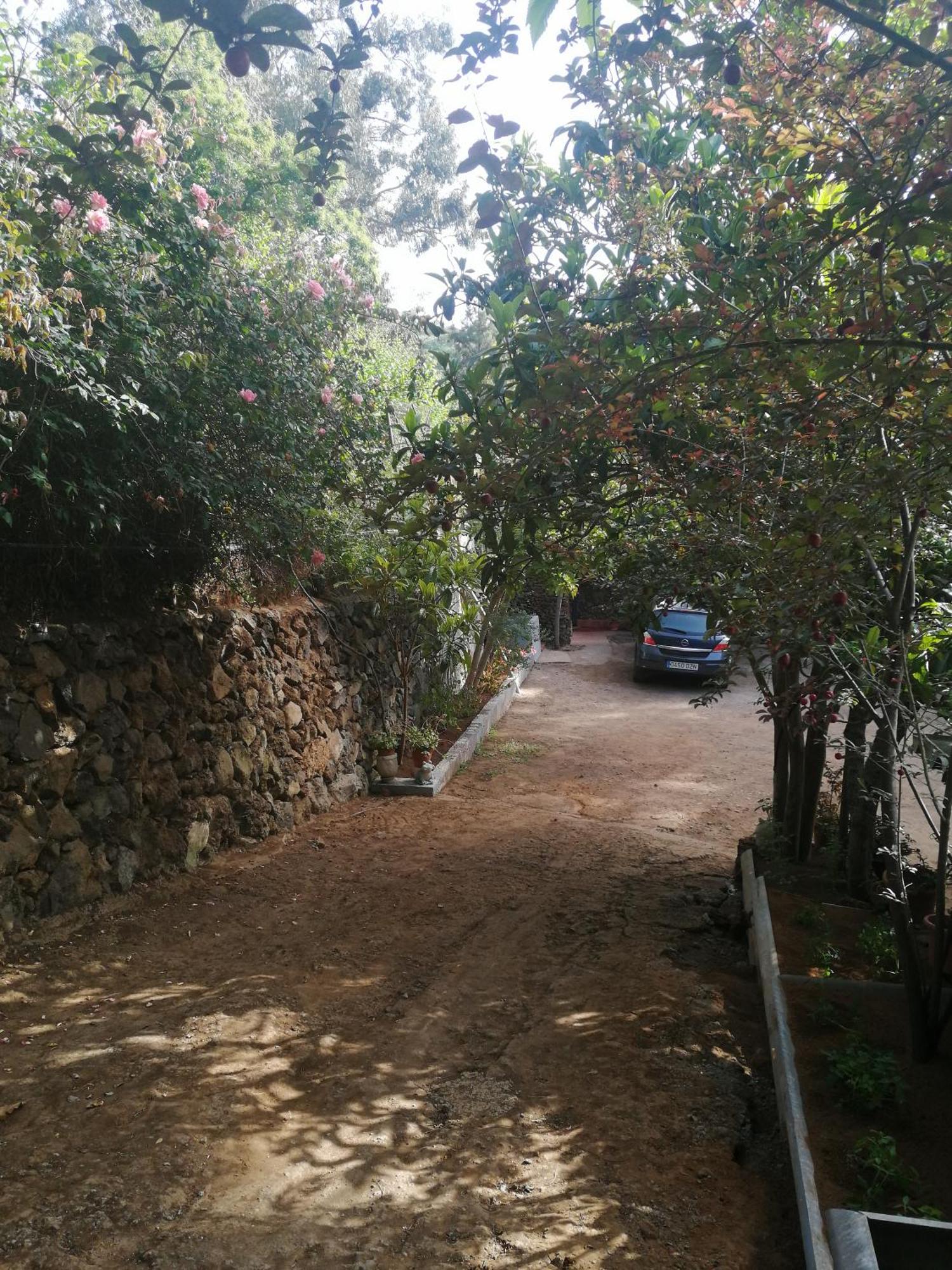 Casa Ecologica, Autosuficiente En Lomo Blanco, Dentro De Una Casa Rodeada De Naturaleza San Juan de la Rambla Екстериор снимка